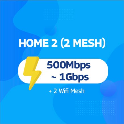 HOME 2 (2 Mesh)
